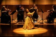Detalle de una actuación de Armonía Danza & Ensemble ConcertArt.