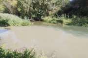 Estado en el que se encuentra el río Ucero en El Burgo.