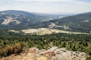 El decaimiento de las masas forestales forma parte del análisis de la comunidad científica.