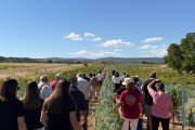 Visita a los viñedos de la Fiesta del Vino de Morales.