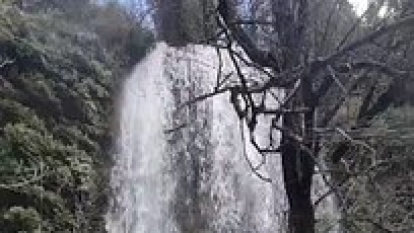 Las lluvias y nievas de las últimas horas han alimentado aún más a la cascada de La Toba en Fuentetoba. El agua cae con fuerza atronadora y deja una de las estampas más bellas del agua en Soria a sólo unos minutos de la capital.