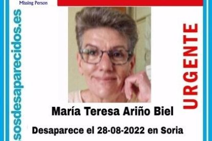 Cartel con el rostro de la mujer desaparecida en Soria. HDS