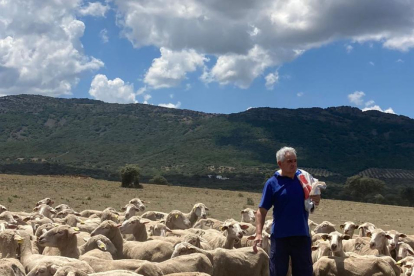 Eduardo del Rincón, en Ciudad Real con sus ovejas