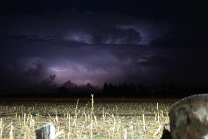 Rayos sobre un campo de cultivo en plena tormenta.