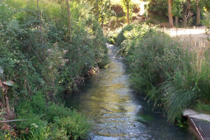 Río Queiles a su paso por Soria.