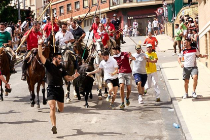 Llegada de los toros a Soria