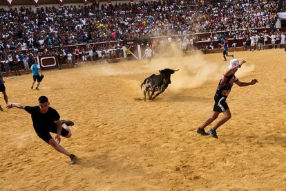 Llenazo en la plaza de toros