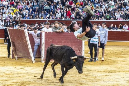 Los jóvenes sortearon a la vaquilla con soltura