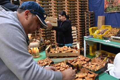 La localidad pinariega vive una nueva jornada ferial.