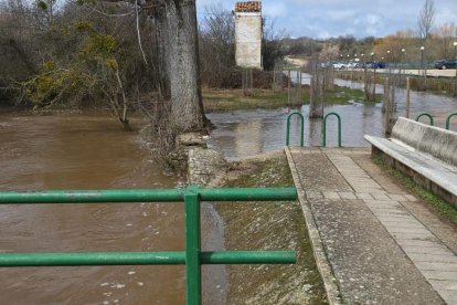 Imagen del río Pedrajas en Valonsadero.