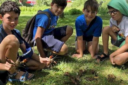 Esta ha sido la segunda edición del certamen