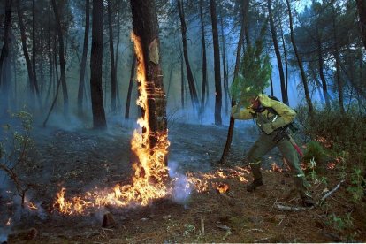 El Incendio de Izana quemó parte de Matamala de Almazán y Tardelcuende