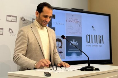 El diputado responsable de Cultura, Enrique Rubio, durante la rueda de prensa.