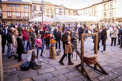 Expositores y actividades de todo tipo