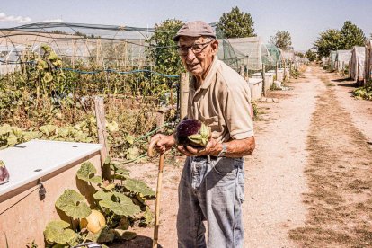 Vergeles en plena ciudad que llenan de alimentos sanos los platos de los quienes los cultivan
