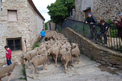 Imagen de archivo de las ovejas pasando por Oncala.-HDS