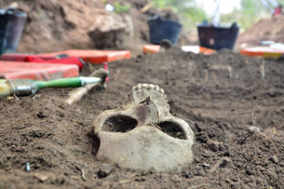 Trabajos de exhumación de siete cuerpos el 19 de julio de 2013. / ÁLVARO MARTÍNEZ-