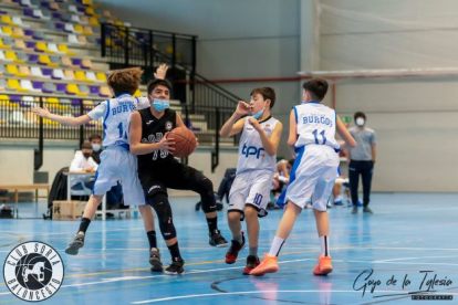 El Infantil B del Club Soria Baloncesto encadena dos victorias. HDS