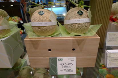 Melones en Sembikiya.-