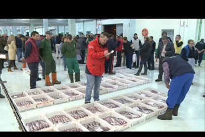 Negociación entre pescador y personal de  Gadisa en la Lonja de La Coruña, donde la compañía gallega es la principal compradora.-E.M