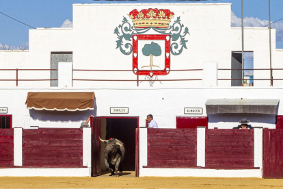 Corrida de toros en Almazán. MARIO TEJEDOR (14)