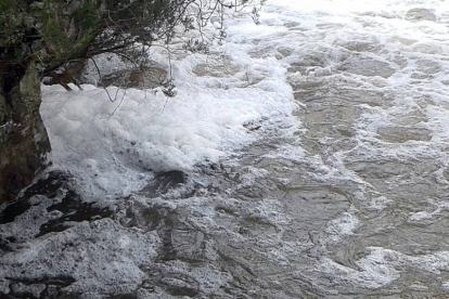 ‘Tormo’ de espuma enganchado en una orilla del río Razón en la zona del Chorrón.-AMELIA RUS