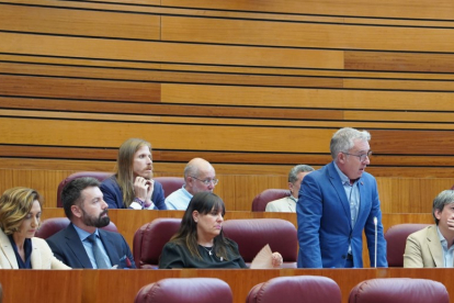 Ángel Ceña interviene ante el Pleno de las Cortes. MÍRIAM CHACÓN-ICAL