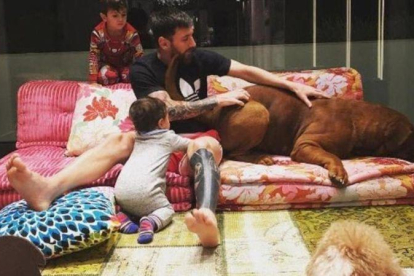 Messi, rodeado de sus hijos y sus perros en casa.-INSTAGRAM