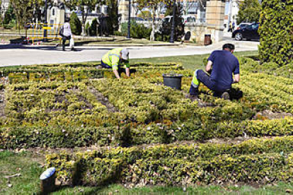 Varios trabajadores de parques y jardines. / ÁLVARO MARTÍNEZ-
