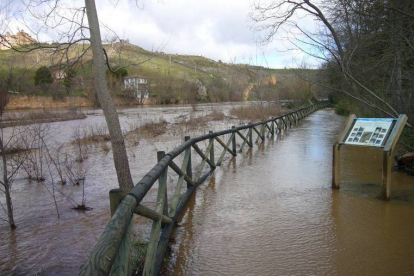Márgenes del río Duero. FOTO DE @rh_antonio / TWITTER-