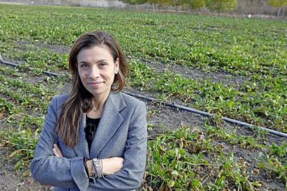 La directora de la Asociación de Investigación para la Mejora del Cultivo de la Remolacha Azucarera (Aimcra), Elba Rosique.-- J. M. LOSTAU