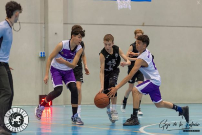 El Club Soria Baloncesto cuenta con quince equipos de baloncesto y otros dos de minibasket. HDS