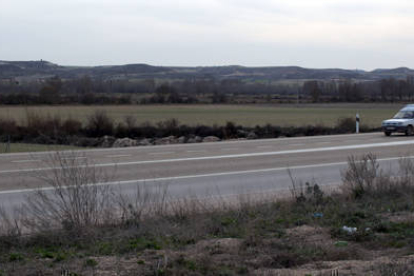 Terrenos donde se ha previsto la instalación de la planta de biomasa de Langa de Duero. / JAVIER SOLÉ-