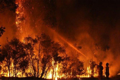 Los incendios forestales en Autralia siguen creciendo.-EUROPA PRESS