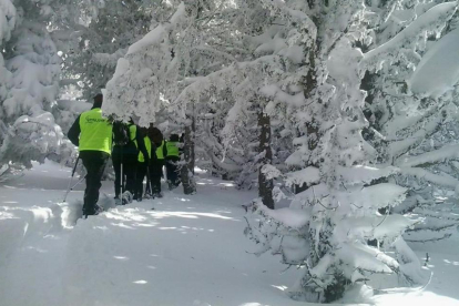 Ayer se llevaron a cabo las primeras rutas de raquetas de nieve.-HDS