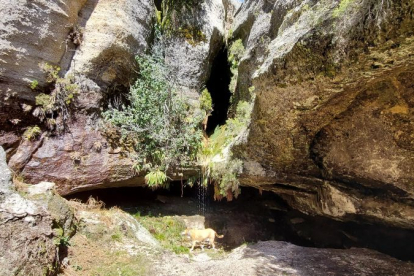 Ruta de las cascadas de Duruelo de la Sierra (Soria). HDS