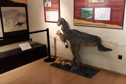 Aula paleontológica de Villar del Río. -M.T.