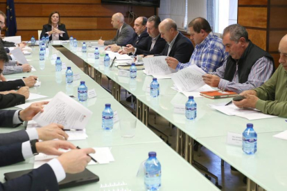 La consejera de Agricultura y Ganadería, Milagros Marcos, preside la Mesa Regional de la Leche de Vacuno-ICAL