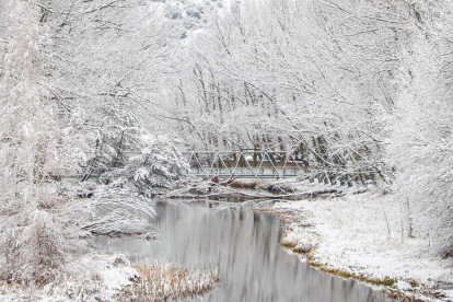 La nieve da paso a una mañana de fotos invernales. MARIO TEJEDOR (47)