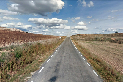 Carretera de Zayas de Báscones a Zayas de Torre, una de las que se arreglará en el Plan de Carreteras de Soria en 2022.- HDS