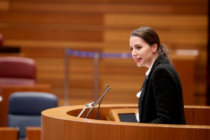 La procuradora María Montero durante una intervención en las Cortes de Castilla y León. ICAL