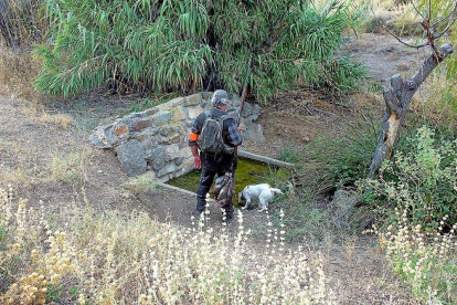 Un cazador dando agua de beber a su perra durante una calurosa jornada a la perdiz en Toledo, el pasado martes-EL MUNDO