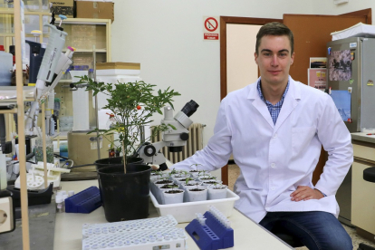El investigador Carlos Frey en uno de los laboratorios de la Universidad de León. EL MUNDO
