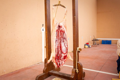 La matanza del cerdo en Garray. MARIO TEJEDOR (5)