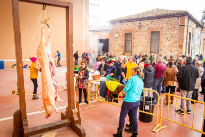 La matanza del cerdo en Garray. MARIO TEJEDOR (31)