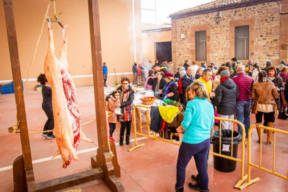 La matanza del cerdo en Garray. MARIO TEJEDOR (32)
