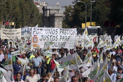 Olivareros durante la manifestación en Madrid en defensa de un precio justo para el aceite.-DAVID CASTRO