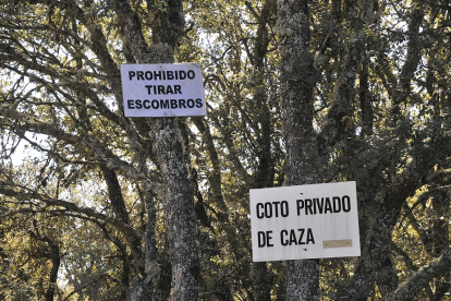 COTOS DE CAZA. El sector cinegético resulta fundamental para numerosos municipios de la provincia, a los que deja ingresos. HDS