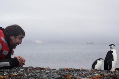 Javier Bardem, saludando a unos pingüinos en la Antártida.-/ PERIODICO (INSTAGRAM