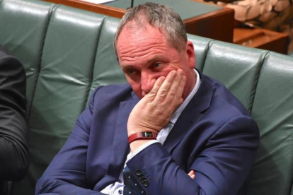 El viceprimer ministro australiano, Barnaby Joyce, en el parlamento.-REUTERS / MICK TSIKAS